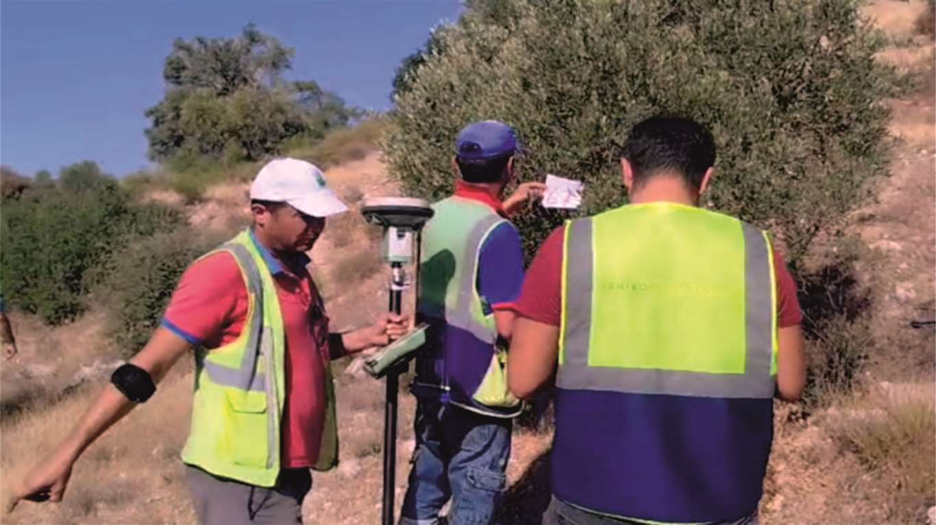     YK Enerji Akbelen'den sonra zeytinliklere girdi: Köylülerden sert tepki haberi